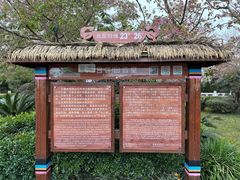 -墨江北回归线标志园