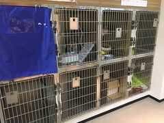 -御宝贝·A梦猫科宠物医院(国际猫友好医院)