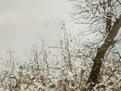 -中国湿地博物馆