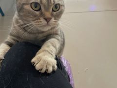 -平行世界·猫咖(首经贸店)