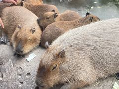 -北京野生动物园