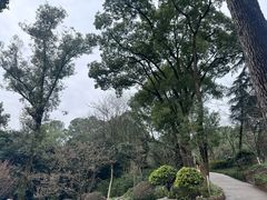 -南山植物园