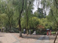 -柳浪闻莺公园