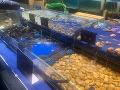 -九月海·海鲜自助(世纪东方店)