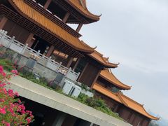 -深圳仙湖植物园