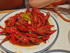 -杨氏青龙虾·羊蝎子(托乐嘉店)