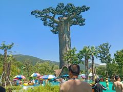 -苏州乐园森林水世界