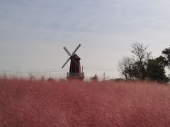 -羊亭河湿地公园