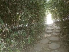 -达活泉公园