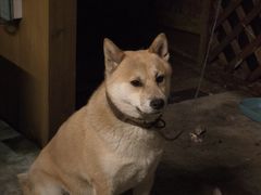 -城墙外BAR