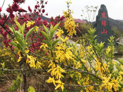 -窦王岭景区游乐场
