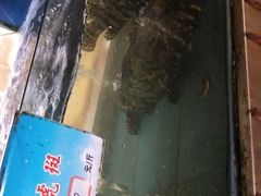 -马王堆海鲜水产市场