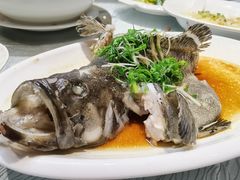 清蒸石斑-强记海鲜·大排档(蛇口新街店)