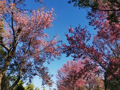 -天龙八部武侠城