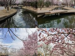 -三里河公园