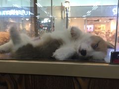 -乐宠宠物店(世纪金源店)