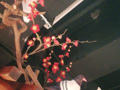 -鸽子窝(青塔店)