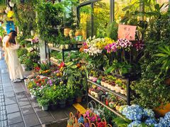 -溪岸路花鸟市场