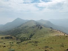 -大姆山草场