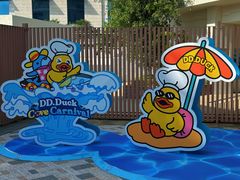 -新加坡水上探险乐园