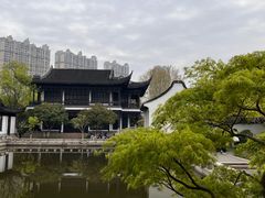 -红梅公园