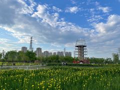 -永定河休闲森林公园