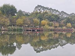 -琴亭湖公园