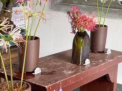 -杭州植物园