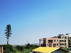 -小洲村