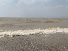-捞渔河湿地公园
