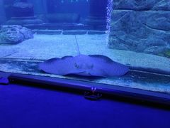 -正佳极地海洋世界