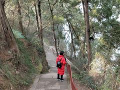 -子昂故里文化旅游区
