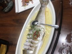 -老绍兴养和饭店(向阳不夜城店)