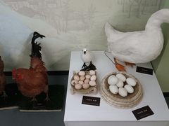 -中国农业博物馆