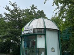 -南山植物园
