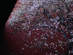 -钱王祠