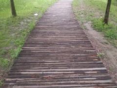 -昆山城市生态森林公园