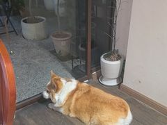 -肥朵食堂(带梦胡同店)