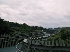 -福道