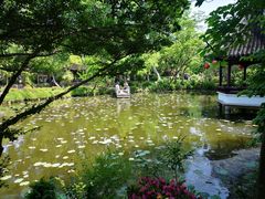 -上海醉白池公园