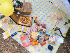 -上海共青森林公园