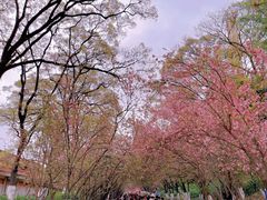 -昆明动物园