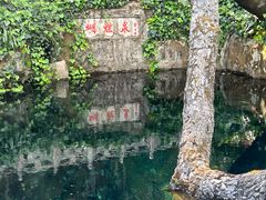 -蝴蝶泉公园