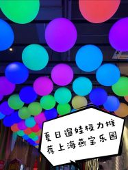 -宝燕乐园(闵行旗舰店)