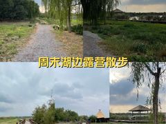 -西青郊野公园
