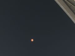 -南京奥林匹克体育中心-体育馆