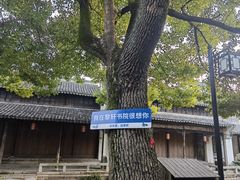 -黎里古镇