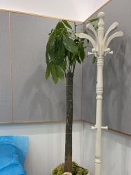 -重庆军美医疗美容医院