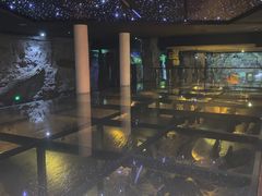 -乐山乌木文化博览苑