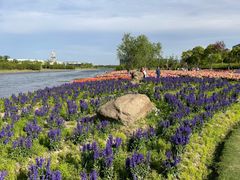 -春花秋色城市公园